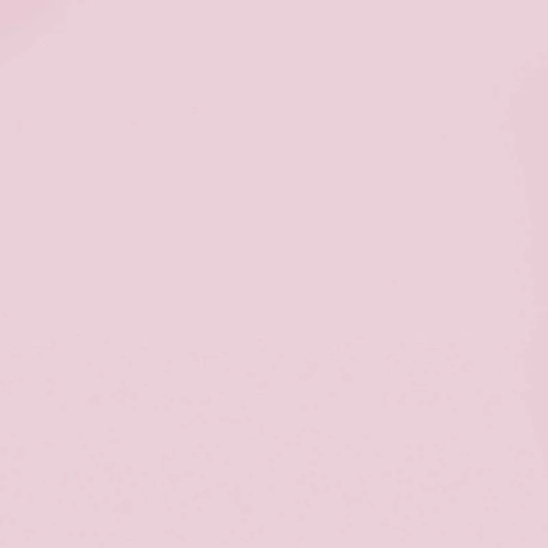 #170 BLUSH PINK