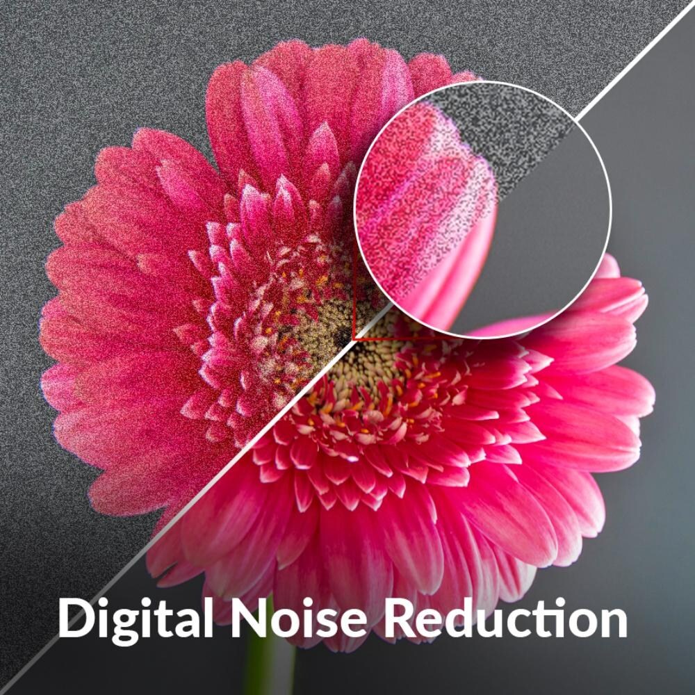 Akai Q-LED Google TV with Atmos Sound, 60Hz Refresh Rate, HDR 10, Bezelless Design Display, Black, AL-GQU-SFWS-AL50GQU-SFWS - Image 2