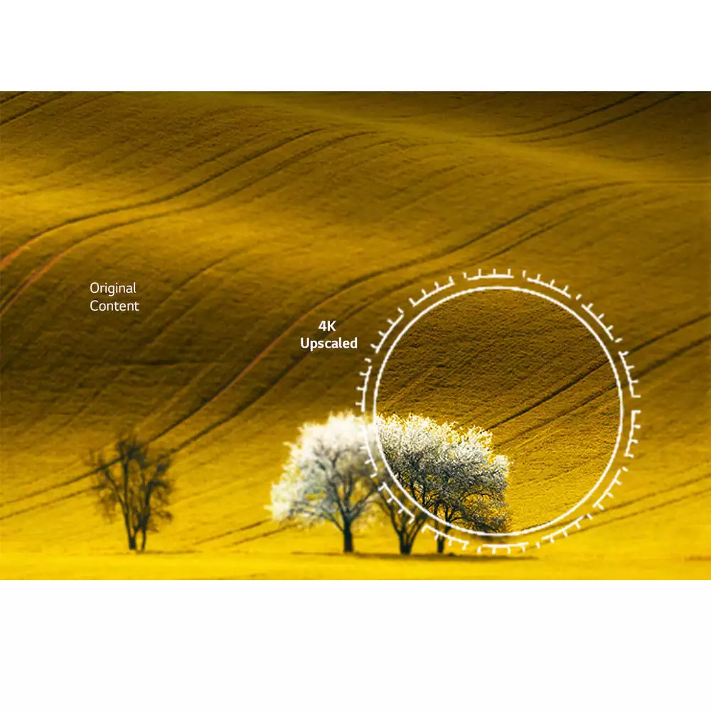 LG 4K TV with Alpha 5 AI Processor with 4K Gen 7 and WebOS, Black, UT8040-43UR8040PSB - Image 4