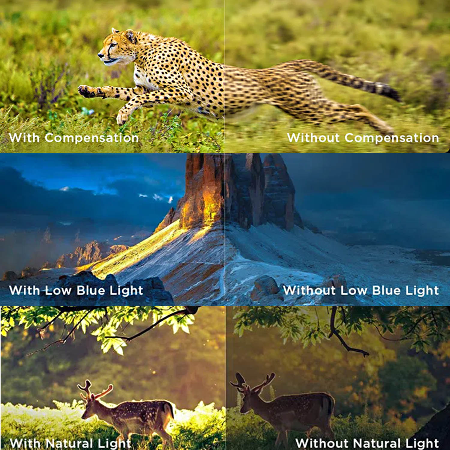 TCL 4K Ultra HD LED Smart Google TV with Google Voice Assistant, 60Hz and Dolby Audio, Black, P6K Series-43P6K - Image 10