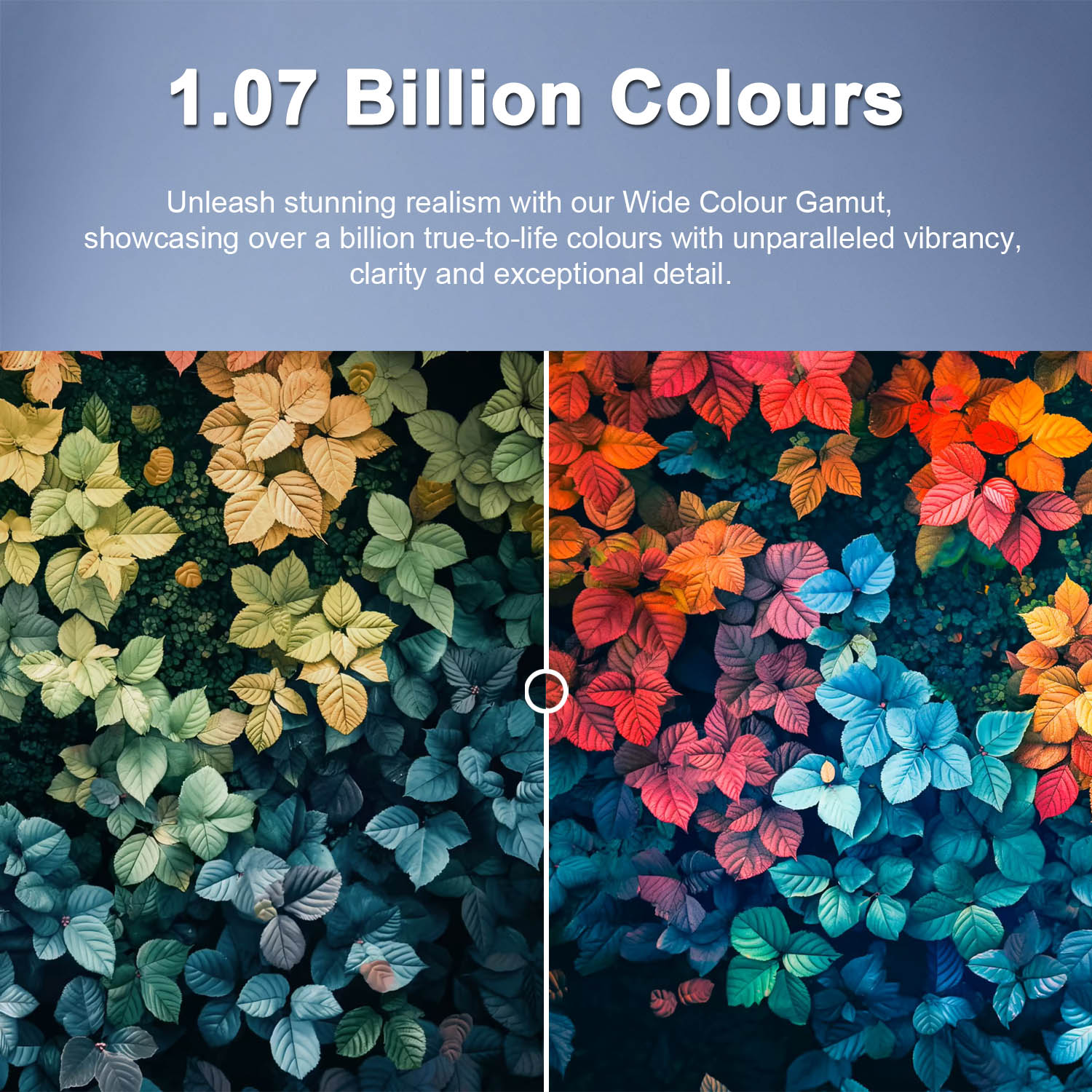 Acer 4K Ultra HD Google TV with Frame-less Design, Super Brightness, HDR10+, Dolby Atmos and Eye Care protect, Black, AR-GT2851UDFL-AR65GT2851UDFL - Image 6