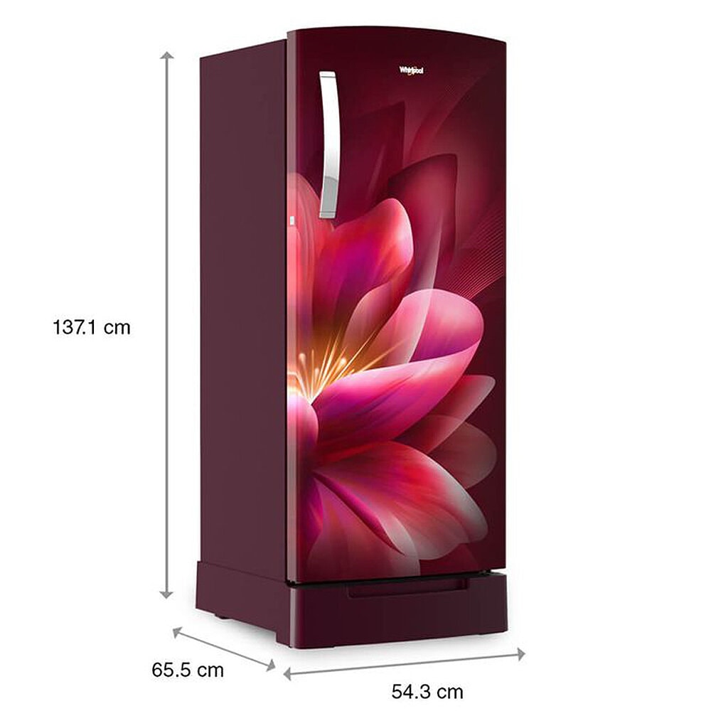 Whirlpool 192 Ltr Icemagic Pro Inverter Direct-Cool Single Door Refrigerator with Base Drawer, Wine Forest, 215 IMPRO ROY-5 Star-215 IMPRO ROY 5S INV WINE FOREST-Z - Image 10