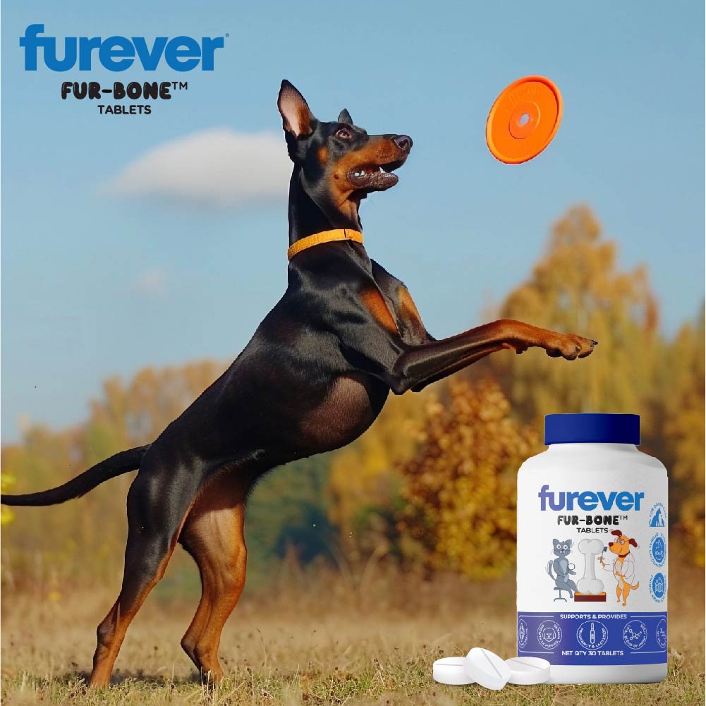 Furever FUR-BONE 30S - Image 4