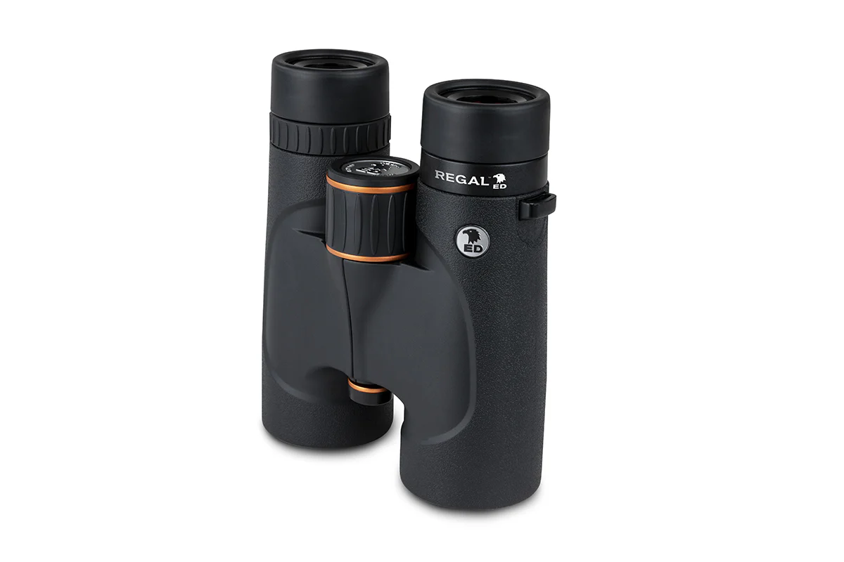 Celestron Regal ED 8x42mm Roof Binoculars (71390) - Image 4