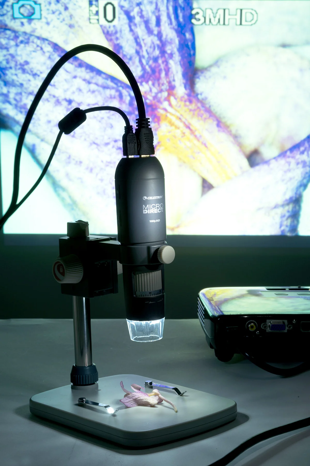 Celestron MicroDirect 1080p HD Handheld Digital Micro Viewing Digital Microscope, Grey (44316) - Image 11