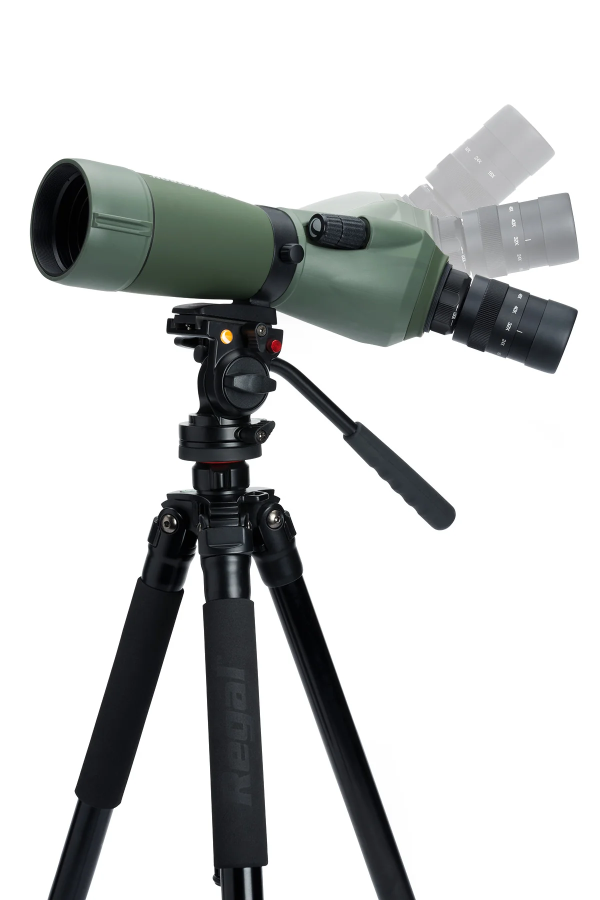 Celestron Regal M2 16-48x65mm ED Angled Zoom Spotting Scope (52304) - Image 9
