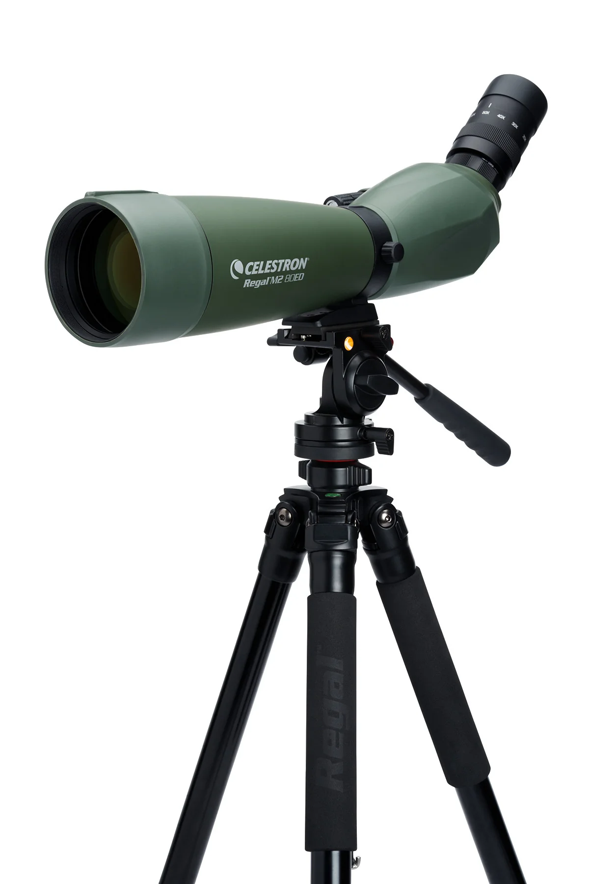 Celestron Regal M2 20-60x80 ED Angled Spotting Scope - Image 7