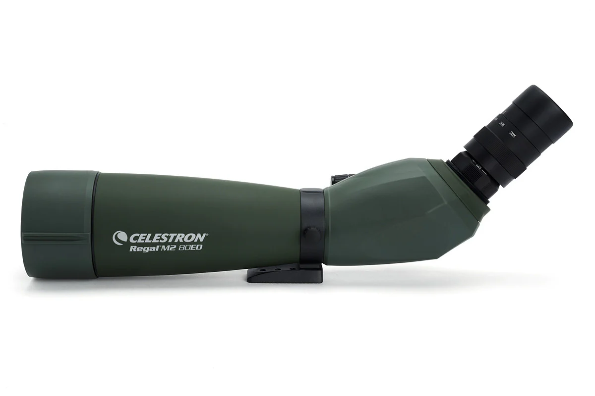 Celestron Regal M2 20-60x80 ED Angled Spotting Scope - Image 3