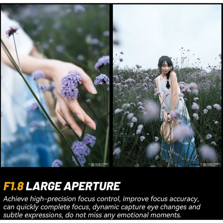 7Artisans 24mm f/1.8 AF Lens (Nikon Z) - Image 10