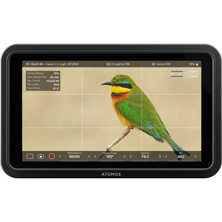 Atomos Shinobi II 5.2" HDMI HDR Monitor - Image 5