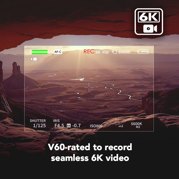 Lexar 1TB ARMOR GOLD UHS-II SDXC Memory Card - Image 5