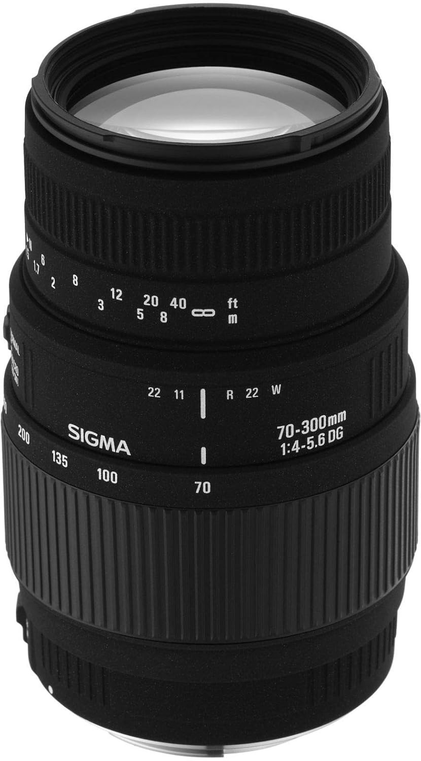 Sigma AF 70-300mm F/4-5.6 DG Macro Telephoto Zoom Lens for Sony DSLR Camera Sigma AF 70-300mm F/4-5.6 DG Macro Telephoto Zoom Lens for Sony DSLR Camera - Image 4