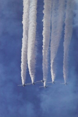 Sigma AF 70-300mm F/4-5.6 DG Macro Telephoto Zoom Lens for Sony DSLR Camera Sigma AF 70-300mm F/4-5.6 DG Macro Telephoto Zoom Lens for Sony DSLR Camera - Image 3