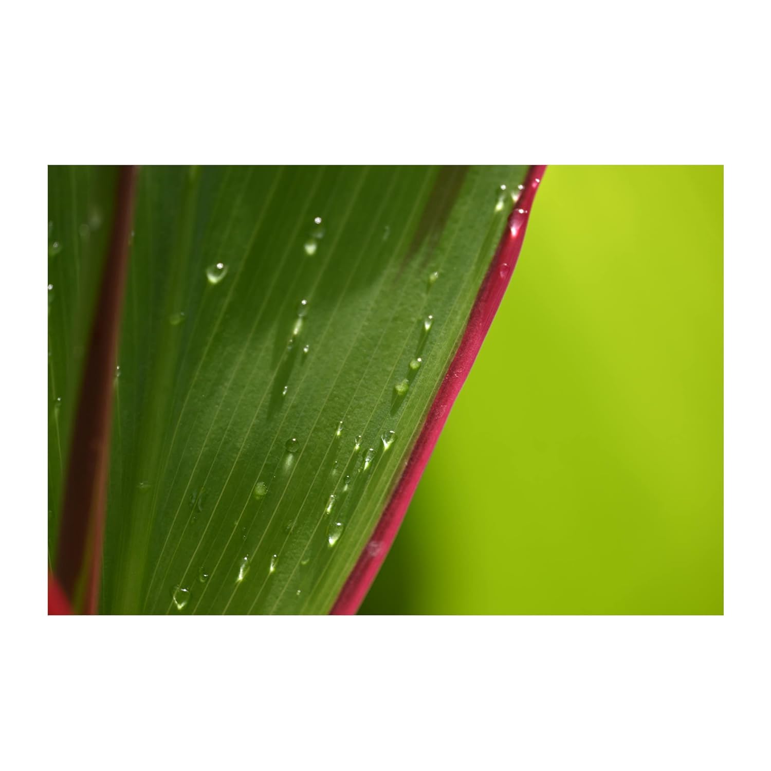 NIKKOR Z DX 18-140mm f/3.5-6.3 VR Lens (Black) - Image 5