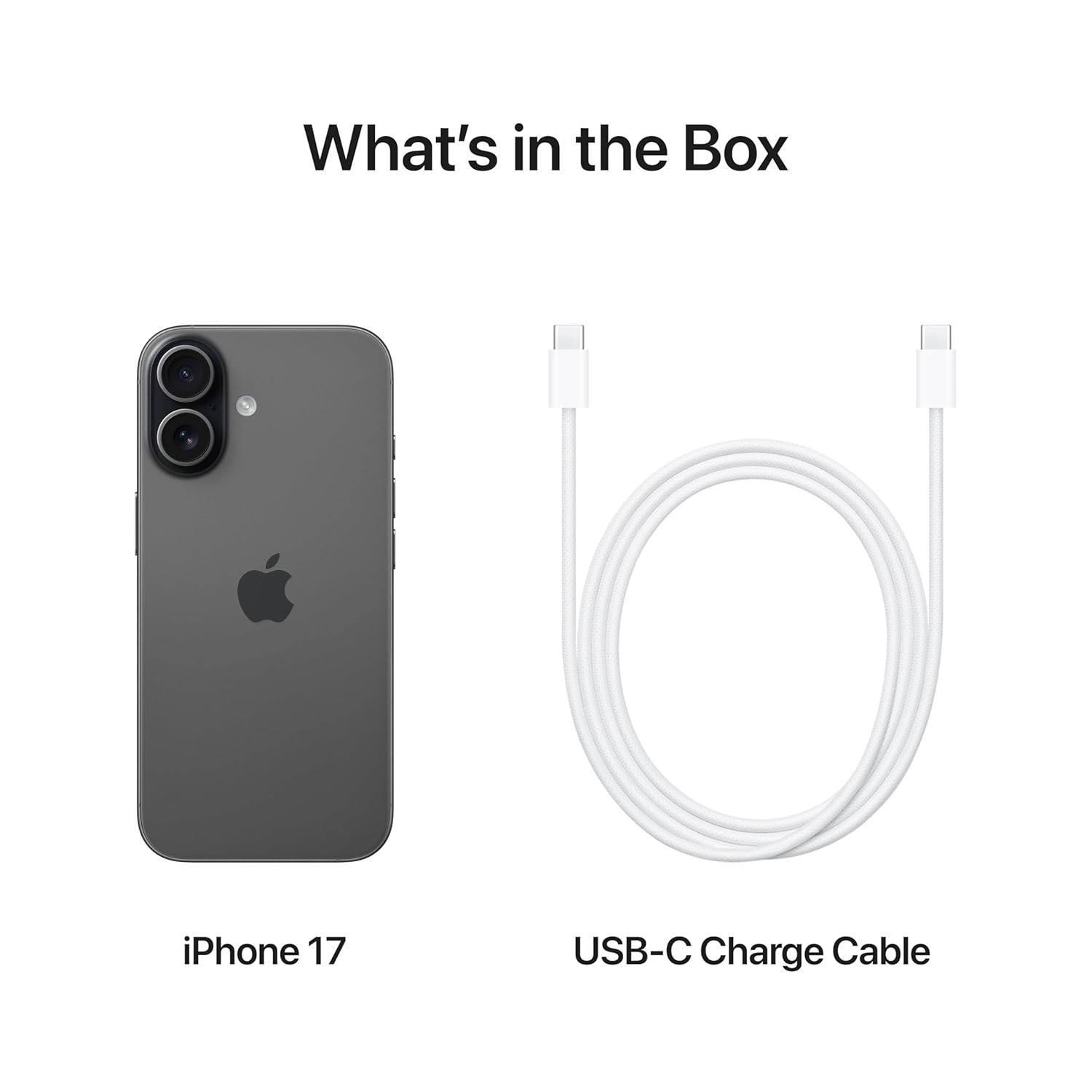 Open Box Apple iPhone 17 256GB (Black) | 6.3-inch Display | A19 Chip | 48MP Dual Camera Unused Phone With up to 11.5 Month Brand Warranty by Apple - Image 5