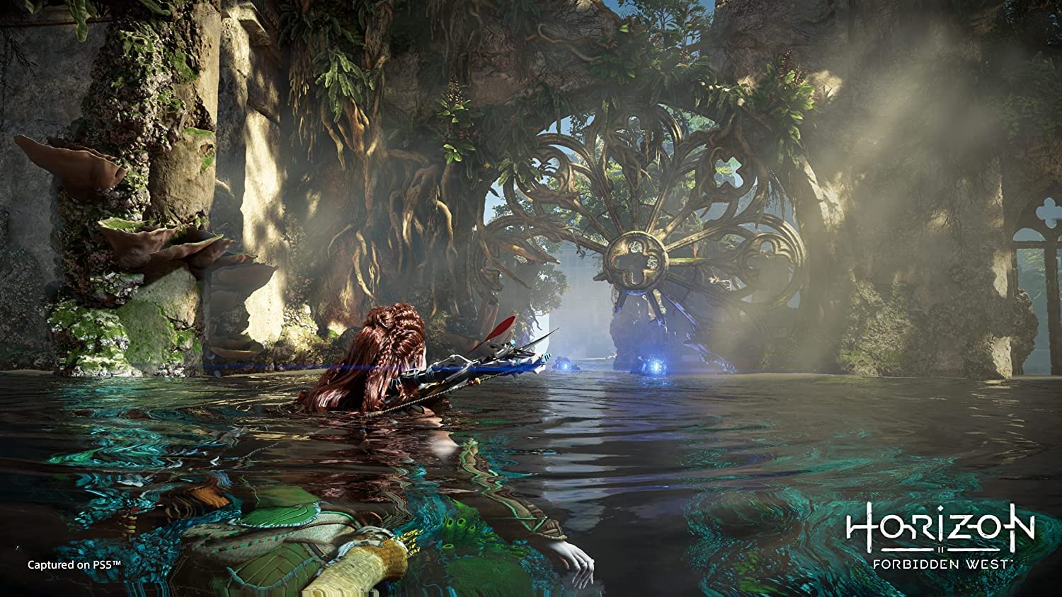 Horizon Forbidden West Playstation 5 PS5 - Image 11