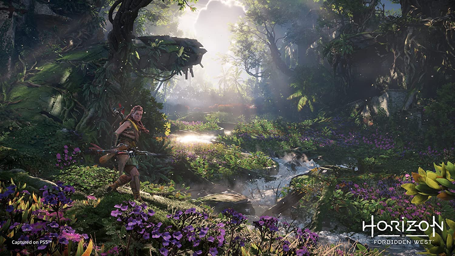 Horizon Forbidden West Playstation 5 PS5 - Image 6
