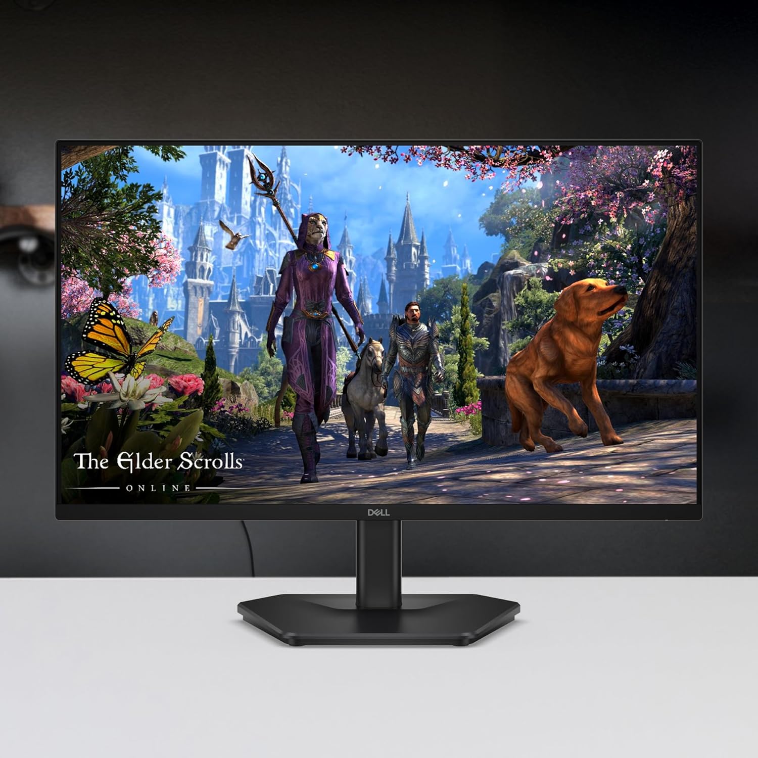 Dell SE2725HG 27" FHD IPS Gaming Monitor, 200Hz  AMD FreeSync Premium, HDR 10, 300nits HDMI 2.1 TDMS(supports HDMI VRR),DP 1.4 - Image 4