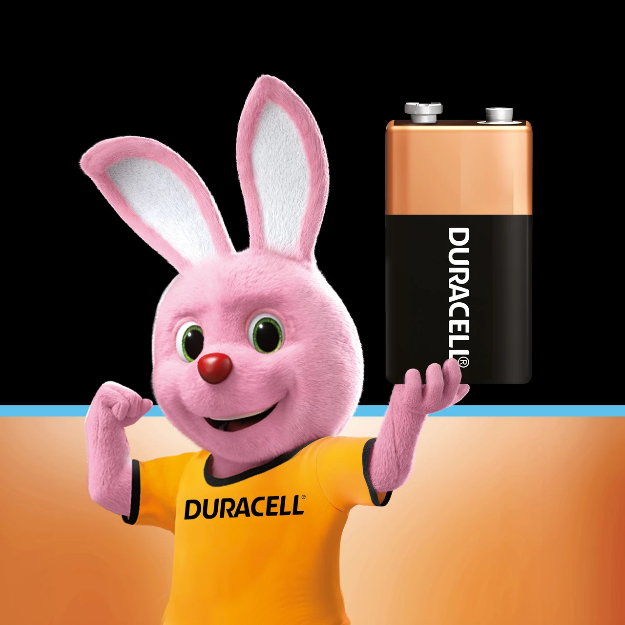 DURACELL Ultra 9V, High-Drain Devices, Smoke Alarm, Radio, Smoke Detector  Battery - Image 3